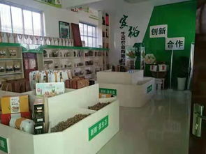 隴小南電商雙十一狂歡盛宴 開啟食品互聯網銷售新體驗