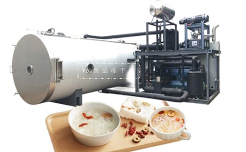 fzg食品凍干機解決凍干食品復水性問題